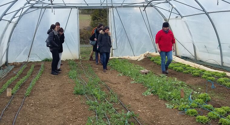 L'équipe de Cap emploi en visite aux Jardins de Cocagne